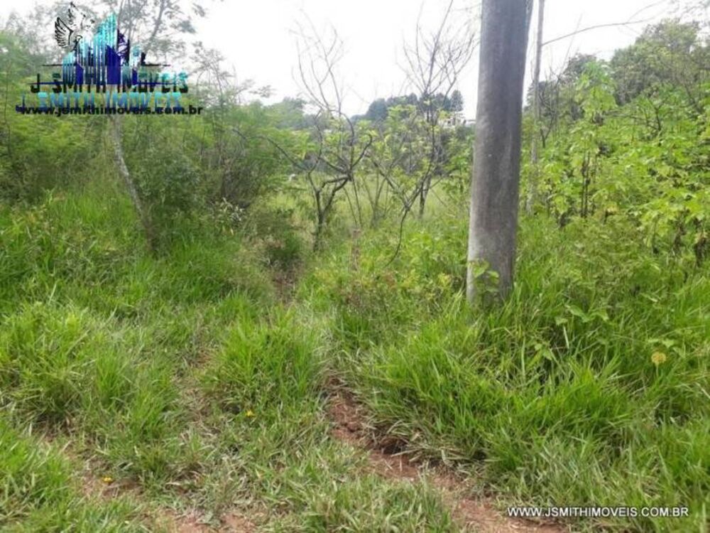 Terreno à venda, 533m² - Foto 2