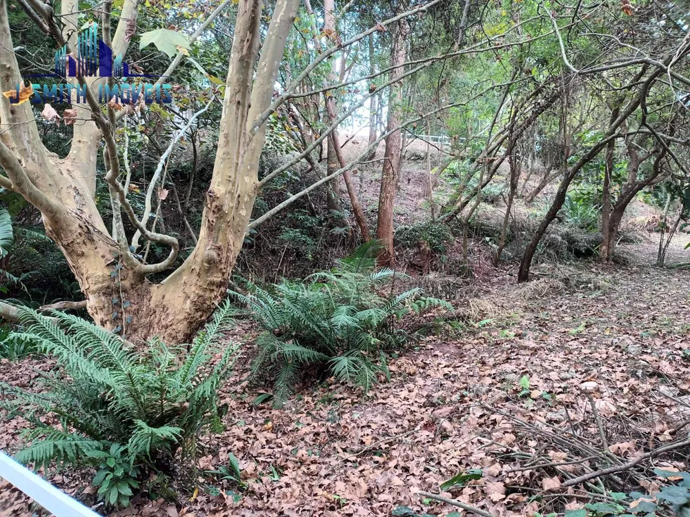 Terreno, 1207 m² - Foto 6
