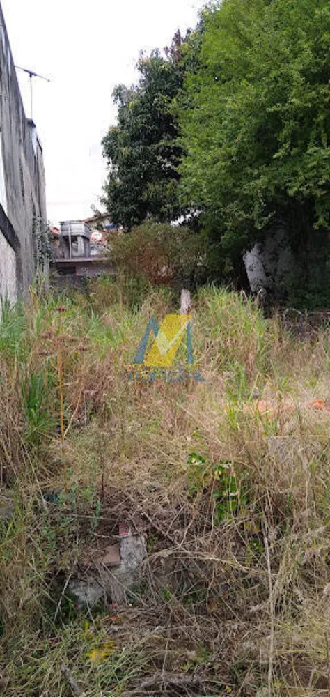 Terreno, 256 m² - Foto 2