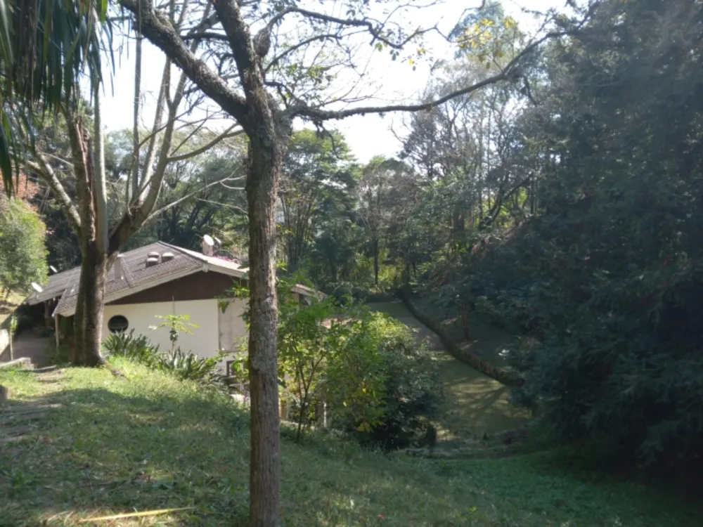 Terreno, 10 hectares - Foto 4