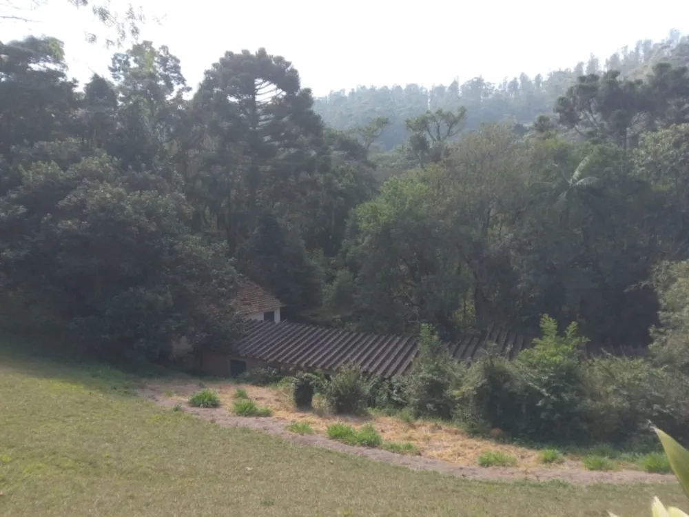 Terreno, 10 hectares - Foto 3