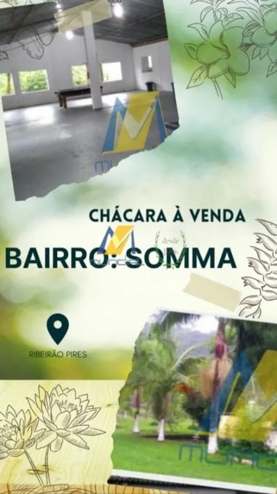 Chácara, 5 quartos, 10000 m² - Foto 3
