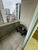 Sala-Conjunto, 33 m² - Foto 8