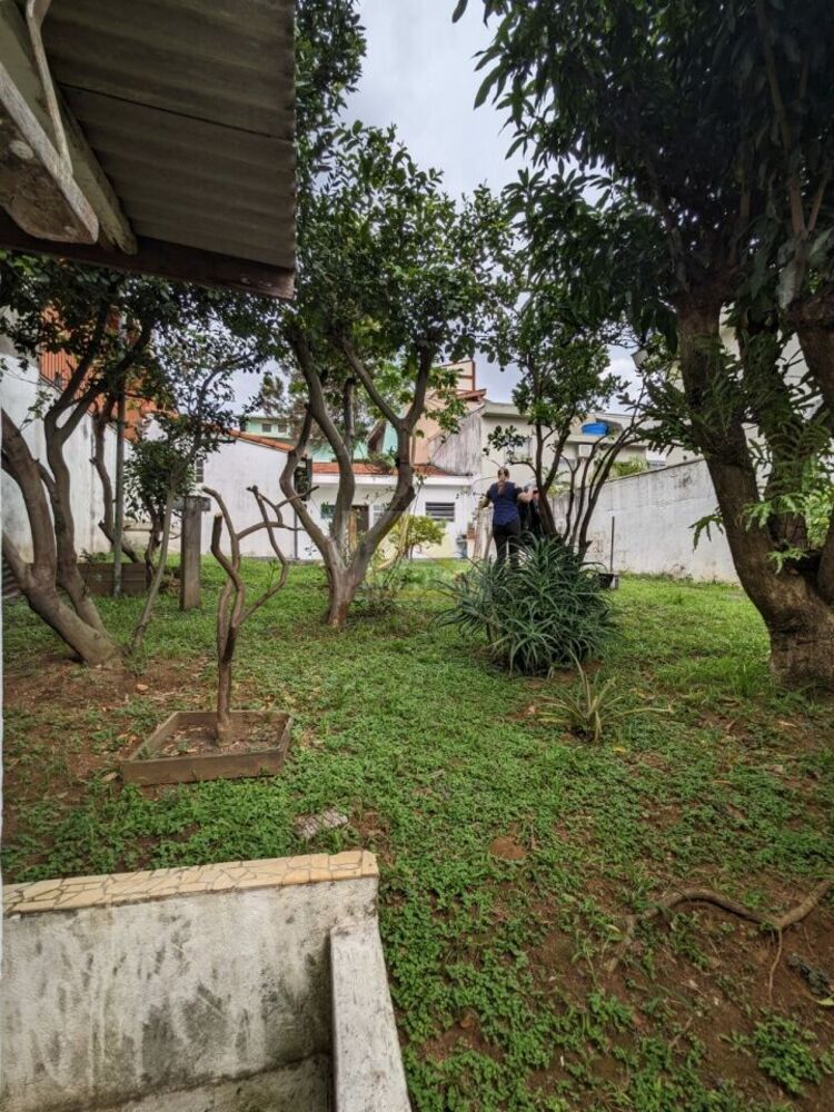 Terreno, 300 m² - Foto 3