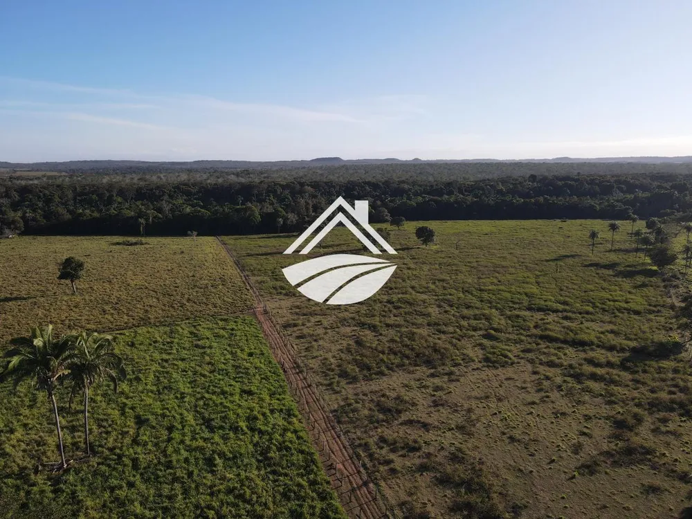 Fazenda, 193 hectares - Foto 4