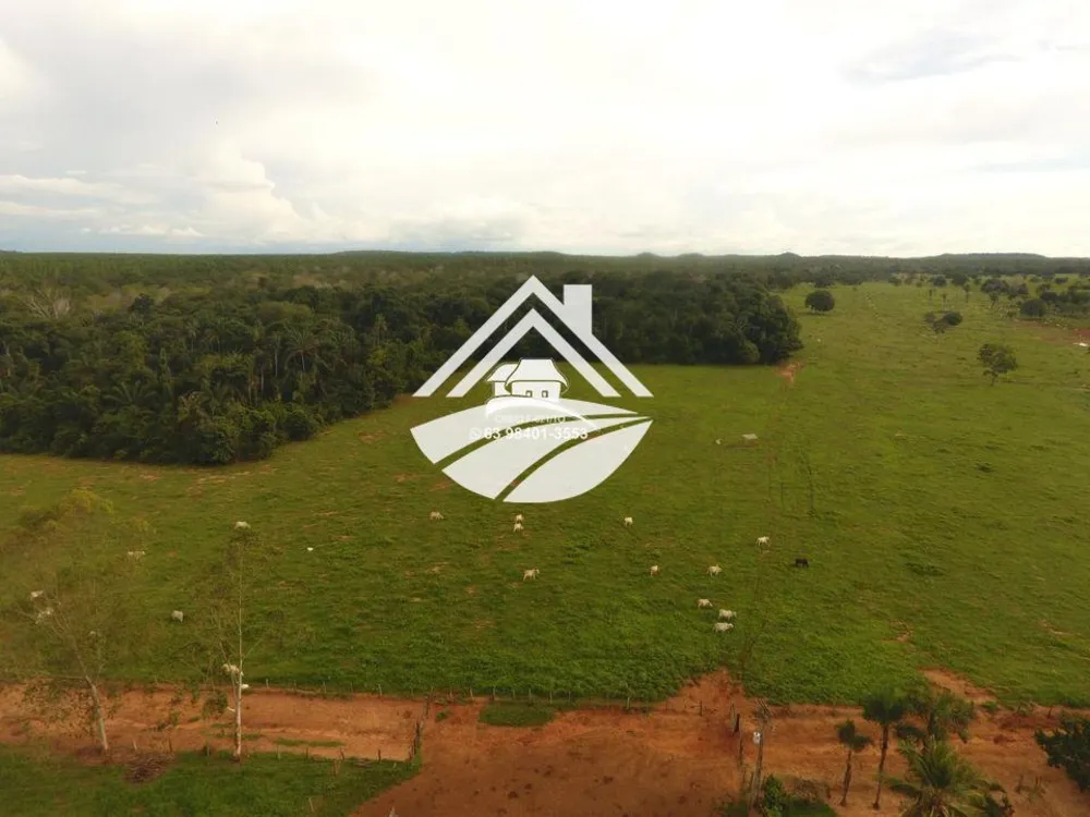 Fazenda, 193 hectares - Foto 7