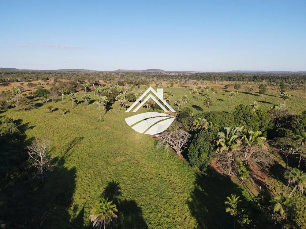 Fazenda, 193 hectares - Foto 6