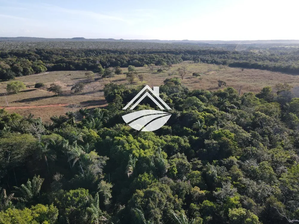 Fazenda, 193 hectares - Foto 10