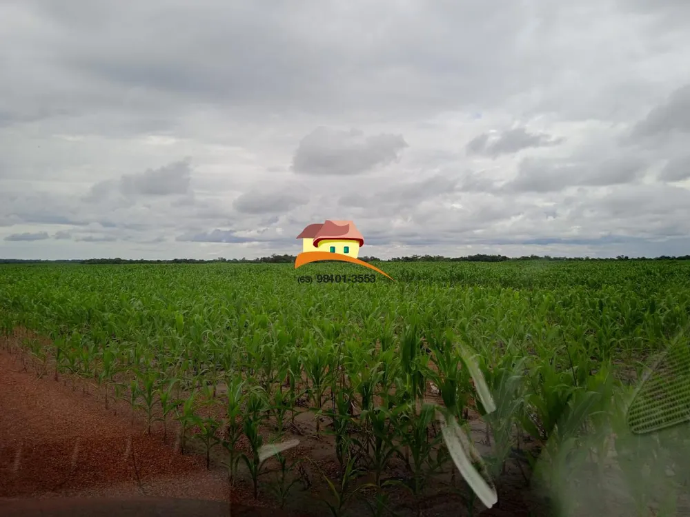 Fazenda, 1137 m² - Foto 5