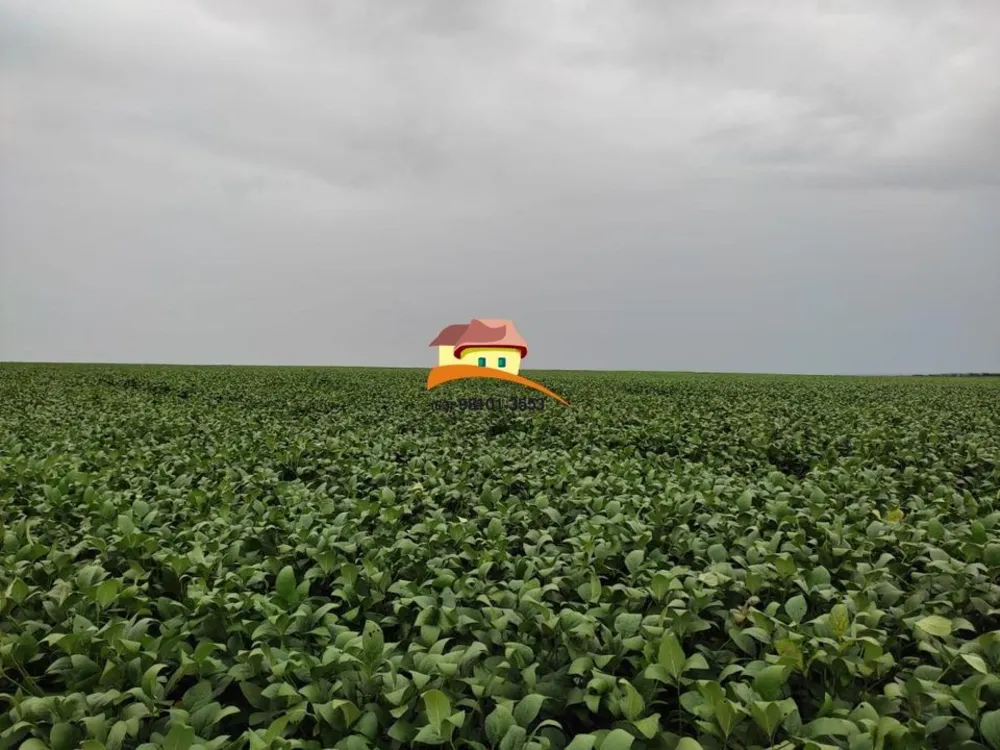 Fazenda, 2153 m² - Foto 4