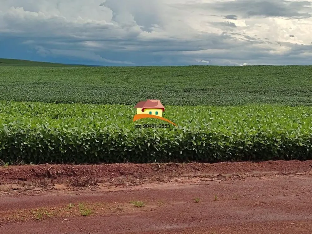 Fazenda, 2153 m² - Foto 2