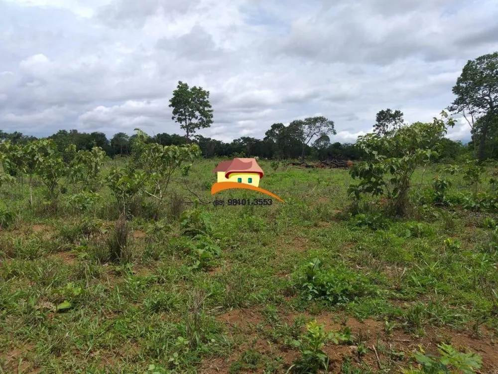 Fazenda, 164 hectares - Foto 5