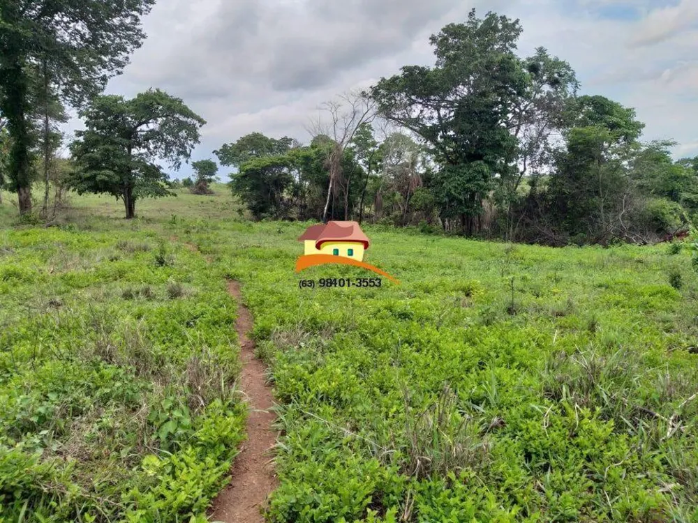 Fazenda, 164 hectares - Foto 6