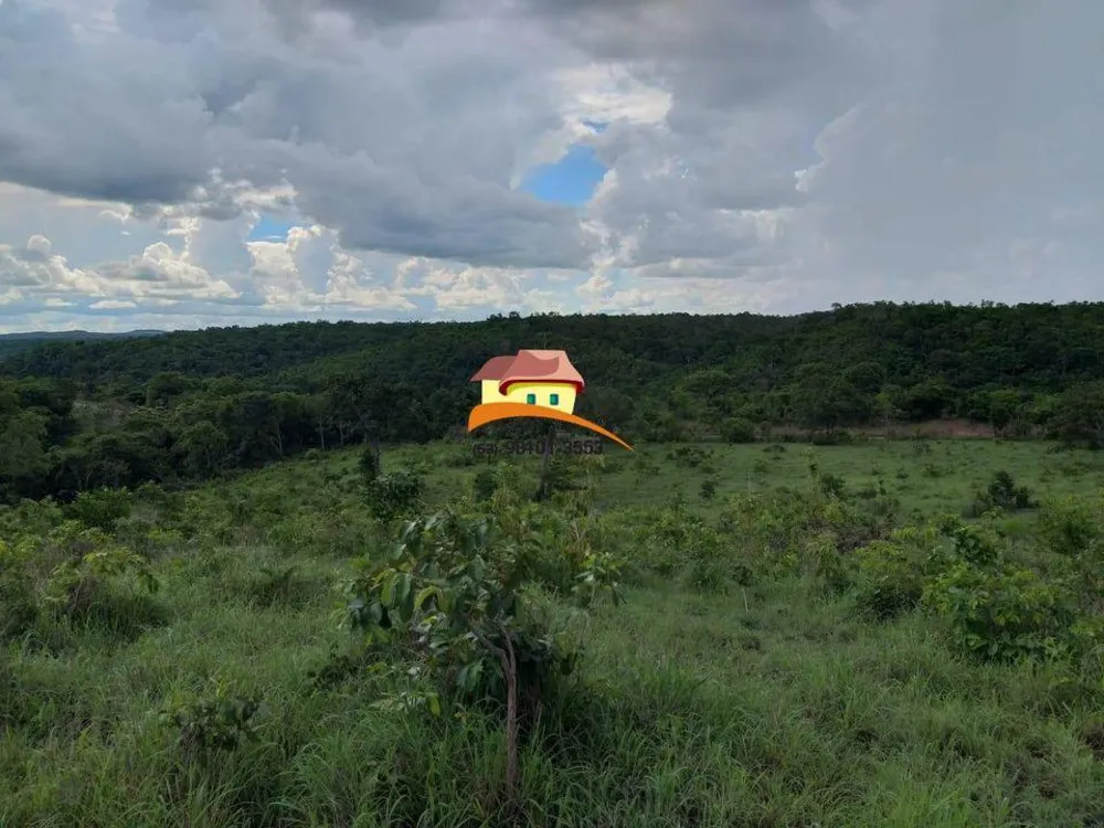 Fazenda, 164 hectares - Foto 11