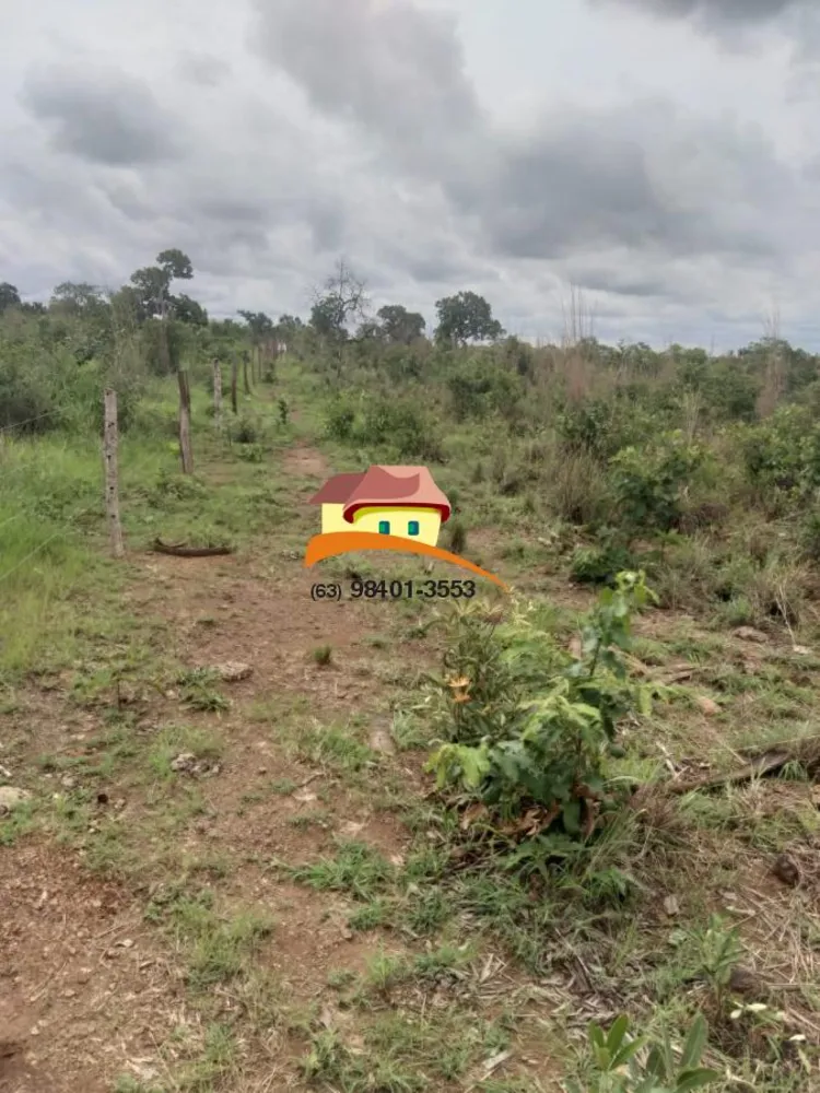 Fazenda, 164 hectares - Foto 8