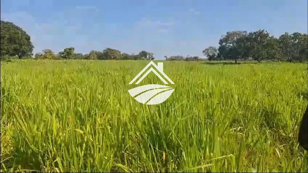 Fazenda, 411 m² - Foto 4