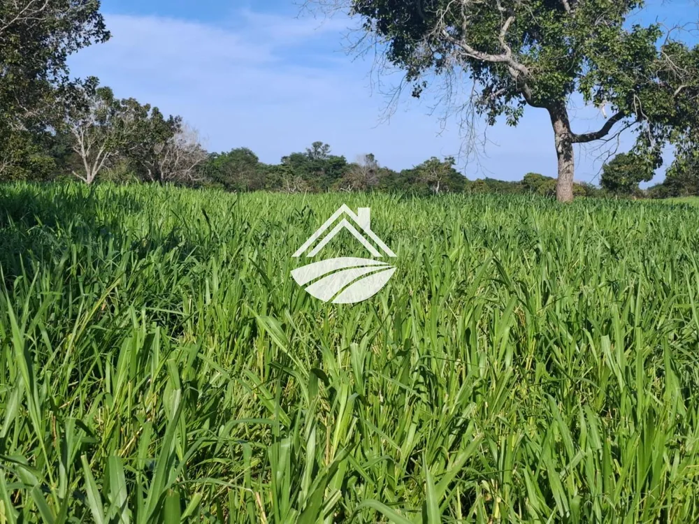 Fazenda, 411 m² - Foto 1