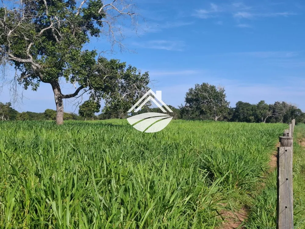 Fazenda, 411 m² - Foto 2