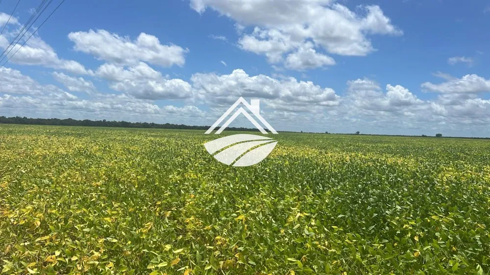 Fazenda, 1 m² - Foto 4