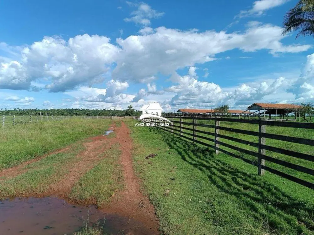 Fazenda, 143 hectares - Foto 4