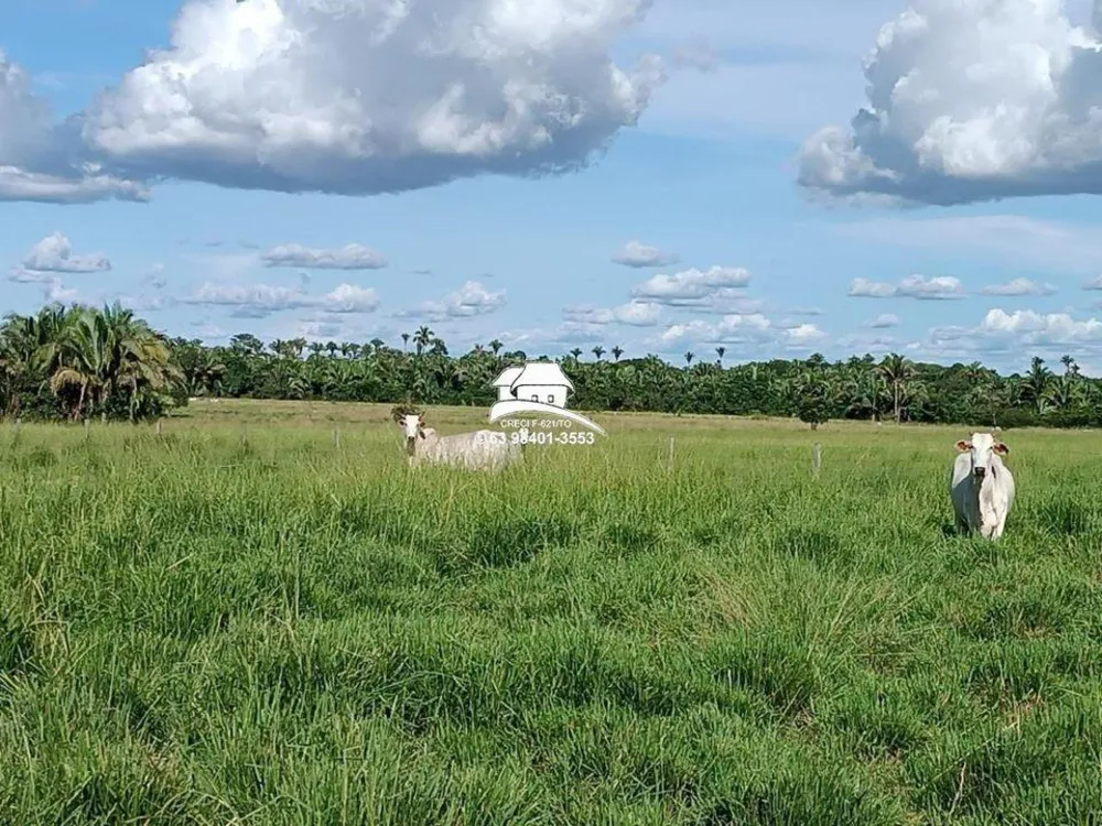 Fazenda, 143 hectares - Foto 3