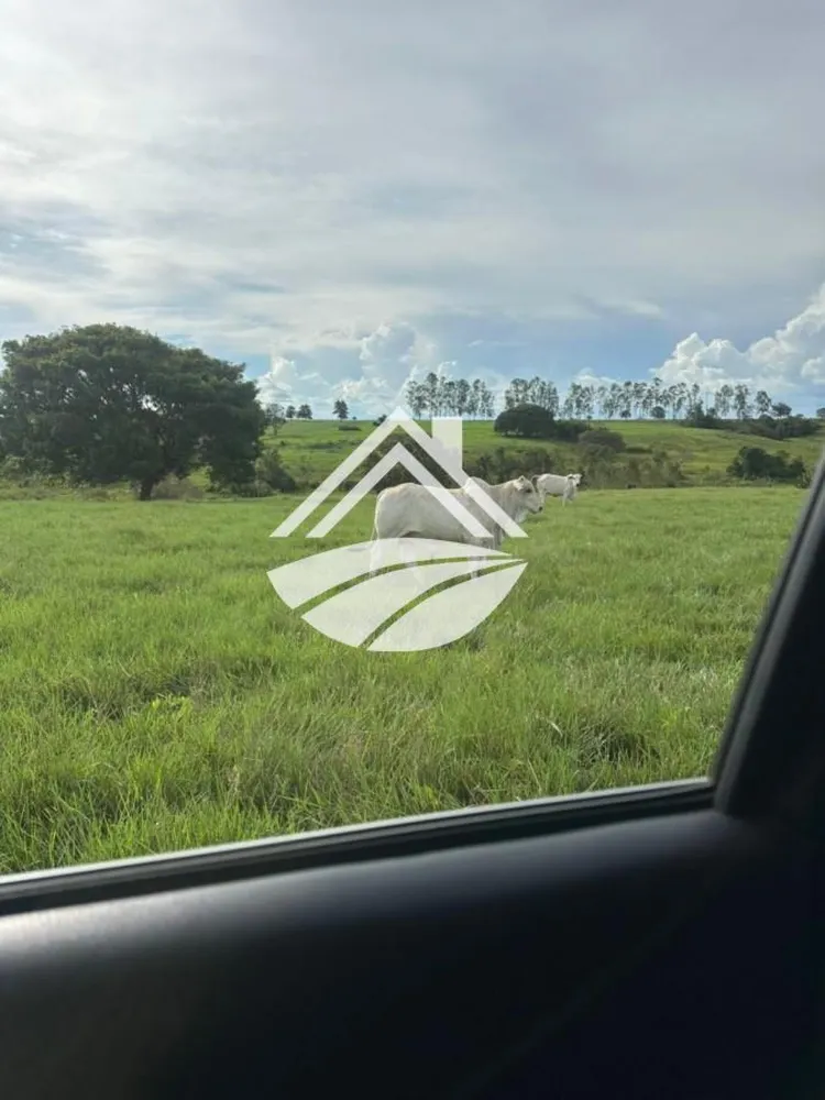 Fazenda, 629 m² - Foto 3