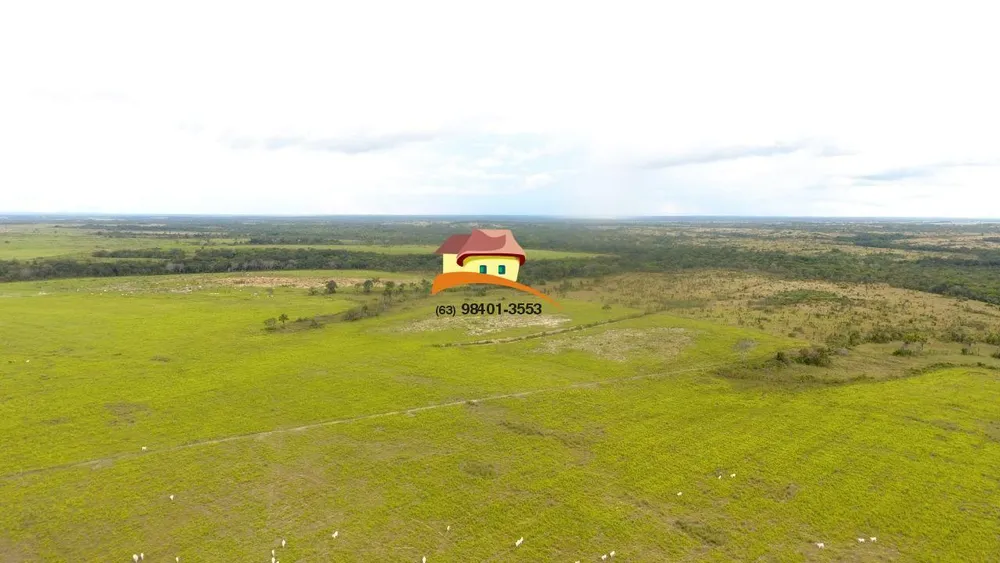 Fazenda, 3878 m² - Foto 9