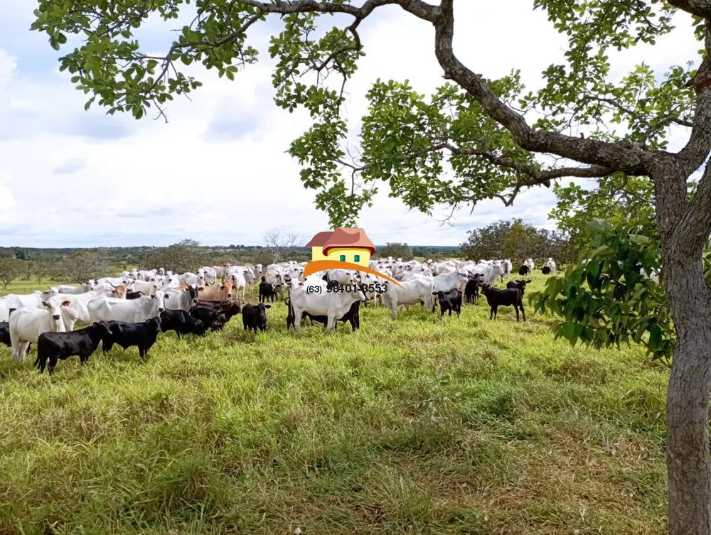 Fazenda, 1623 m² - Foto 4