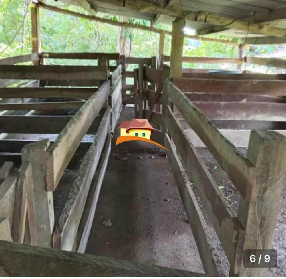 Fazenda, 169 hectares - Foto 7