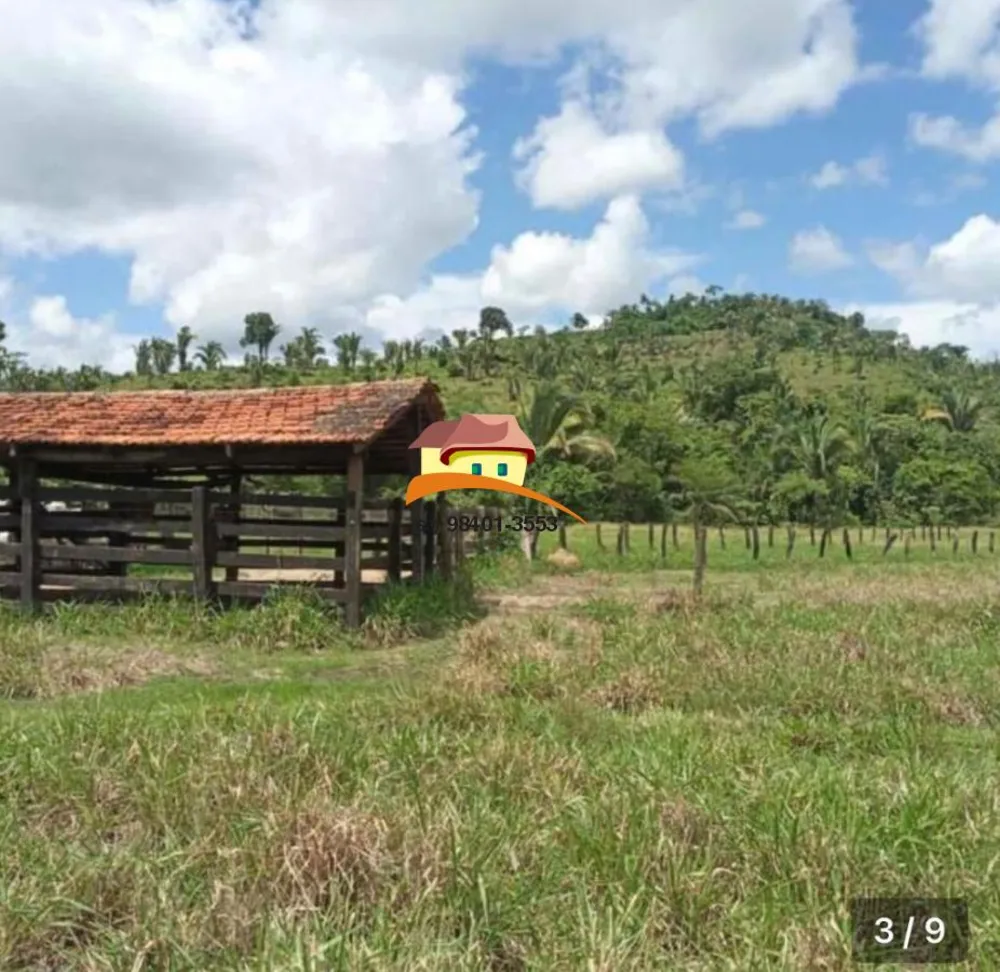 Fazenda, 169 hectares - Foto 6