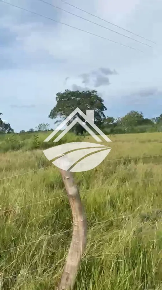 Fazenda, 184 m² - Foto 7
