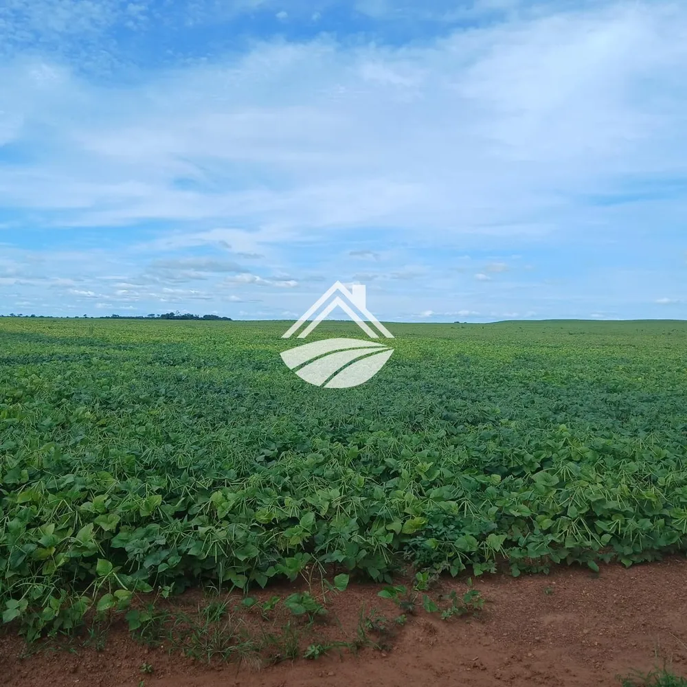 Fazenda, 164 m² - Foto 1