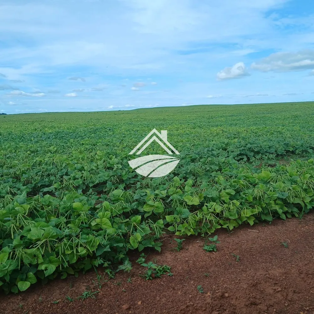 Fazenda, 164 m² - Foto 4