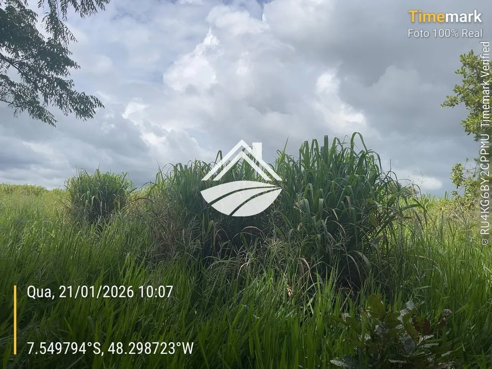 Fazenda, 266 m² - Foto 5