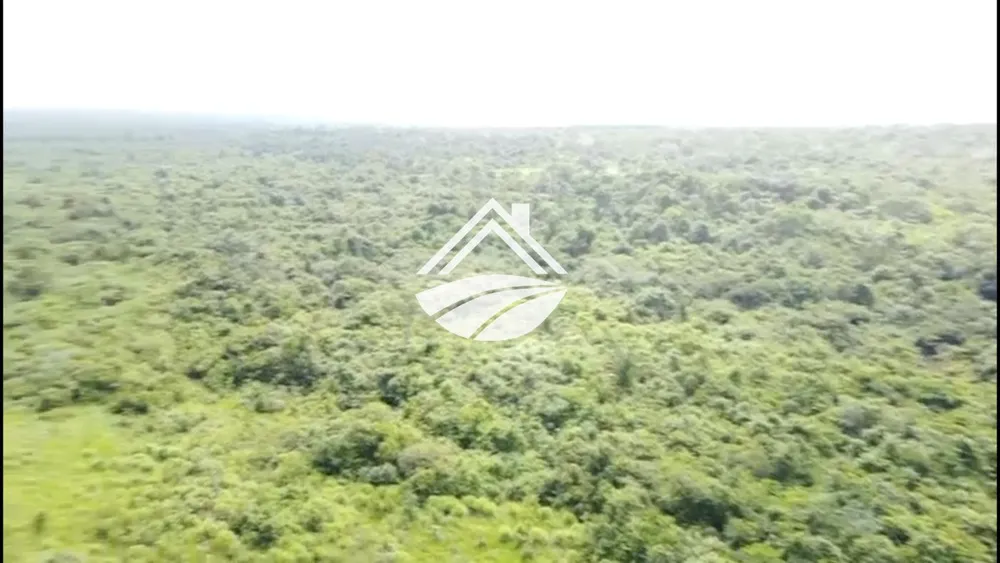 Fazenda, 266 m² - Foto 8
