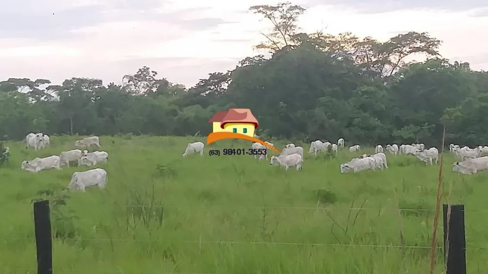 Fazenda, 1 m² - Foto 6