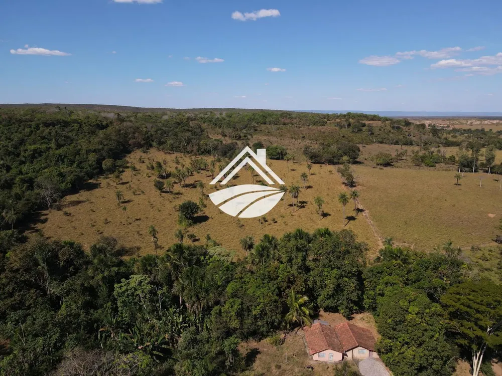 Fazenda, 45 hectares - Foto 6