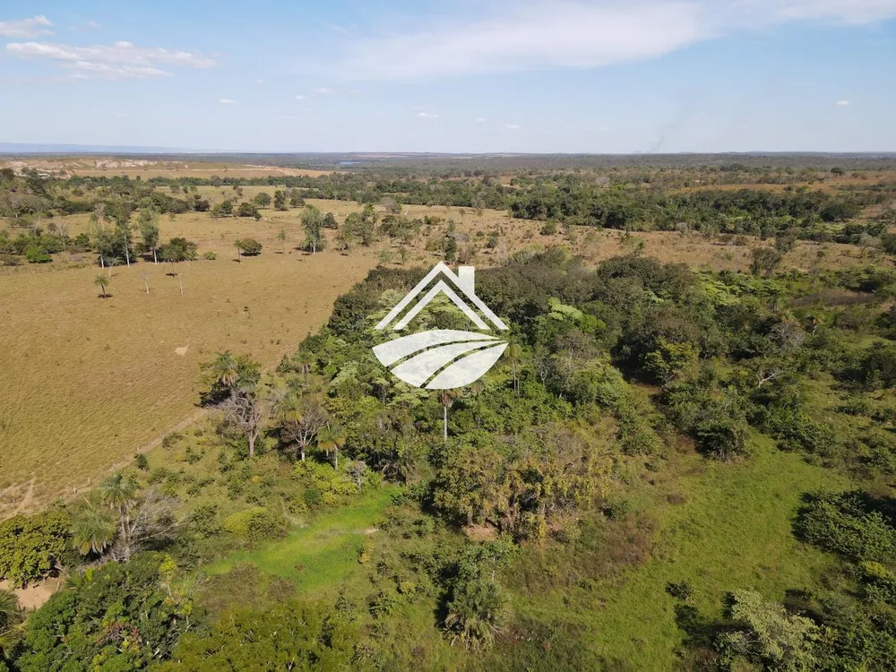 Sítio, 3 quartos, 45 hectares - Foto 4