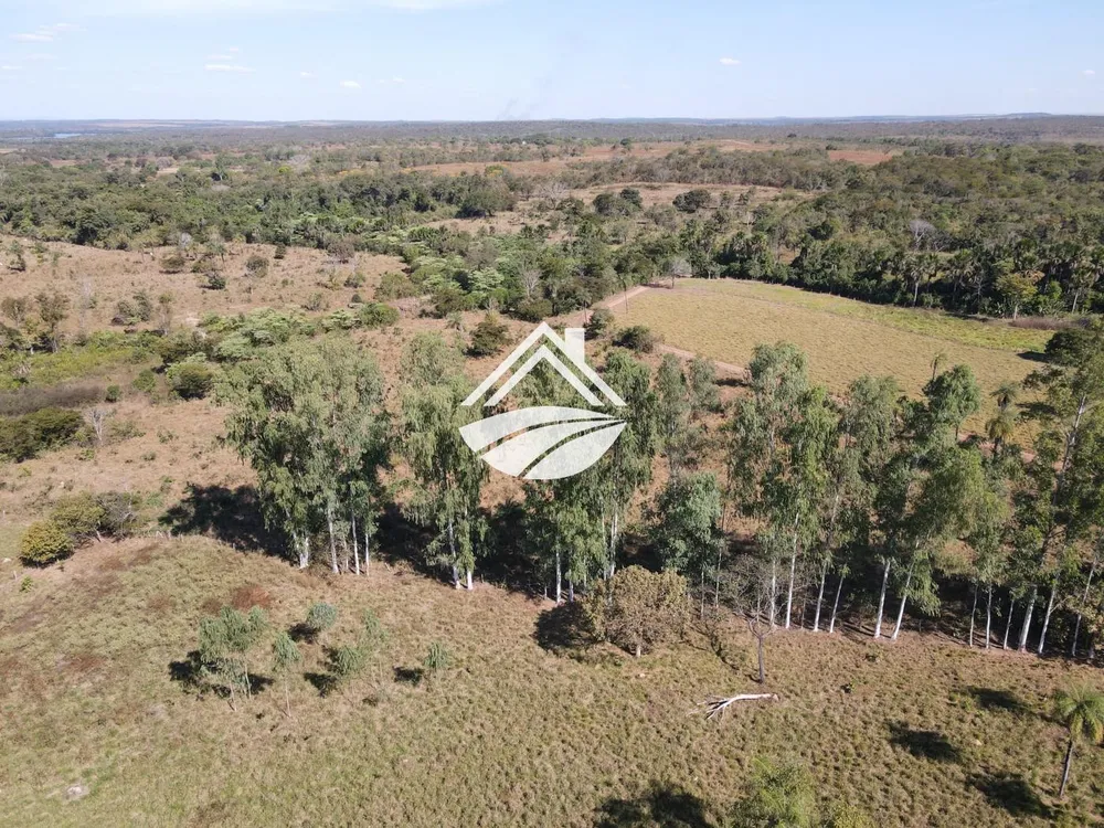 Fazenda, 45 hectares - Foto 7