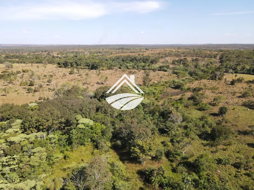 Fazenda, 45 hectares - Foto 3