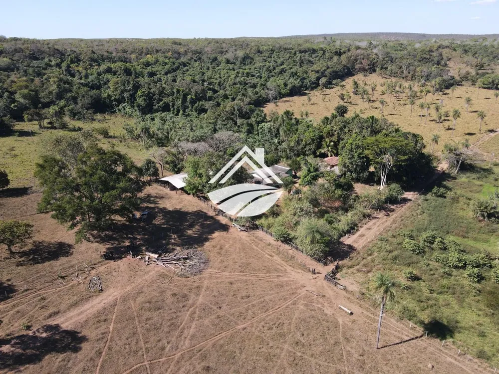 Fazenda, 45 hectares - Foto 4