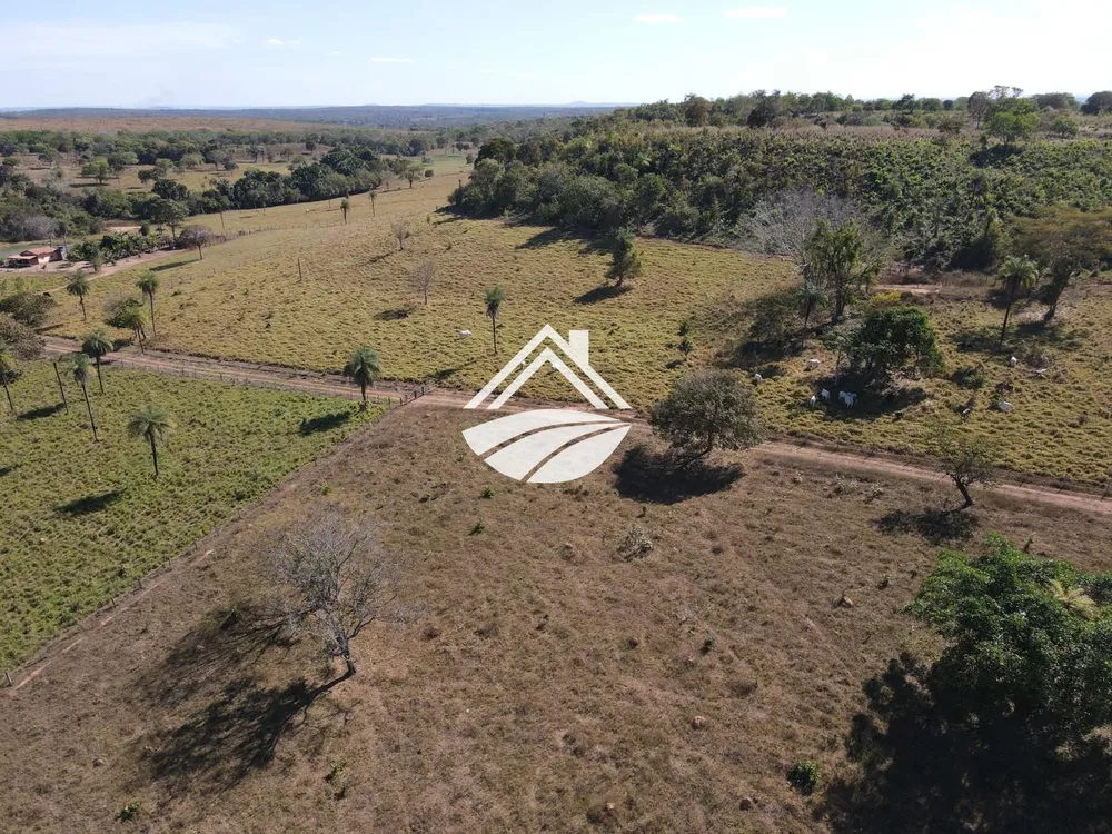 Fazenda, 45 hectares - Foto 8
