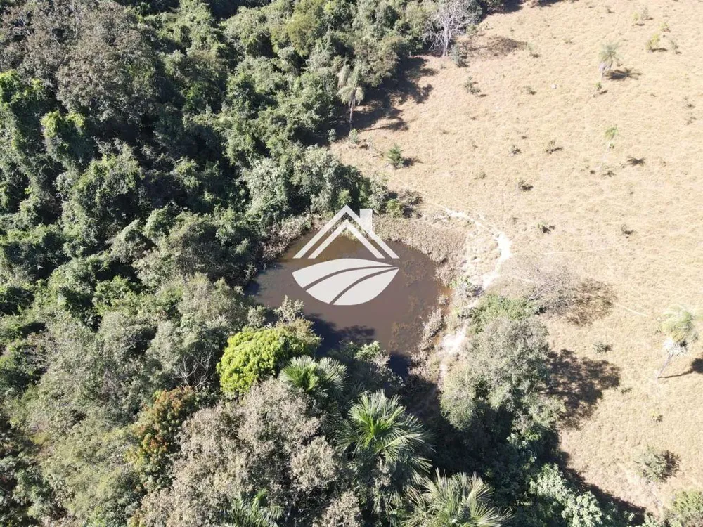 Fazenda, 45 hectares - Foto 1