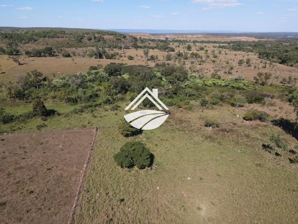Fazenda, 45 hectares - Foto 5