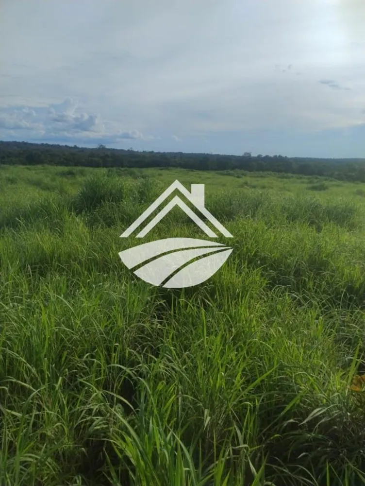Fazenda, 469 m² - Foto 8