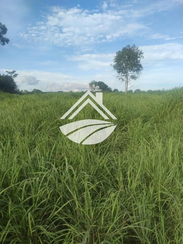 Fazenda, 469 m² - Foto 7