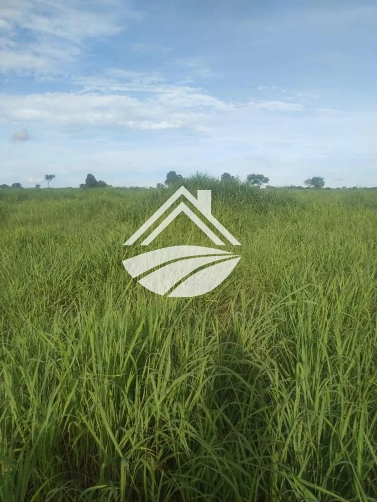 Fazenda, 469 m² - Foto 6