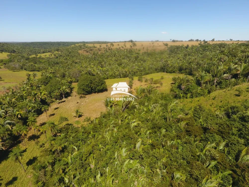 Fazenda, 62 hectares - Foto 2