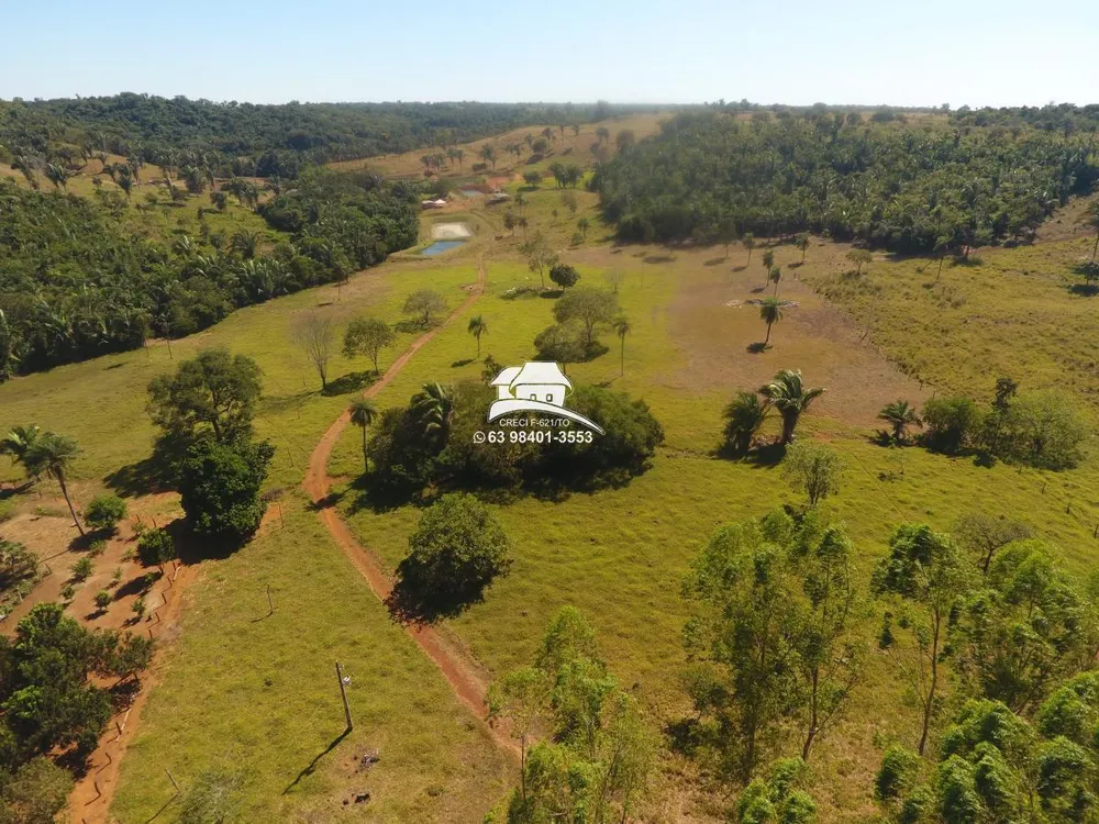 Fazenda, 62 hectares - Foto 6