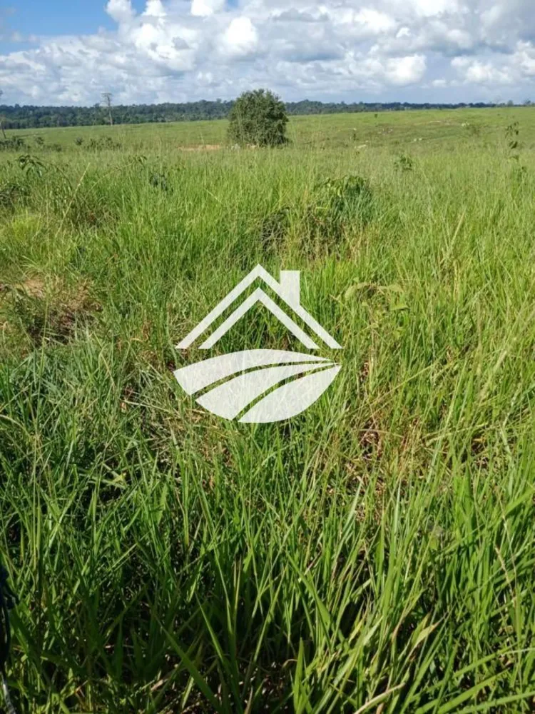 Fazenda, 1 m² - Foto 12